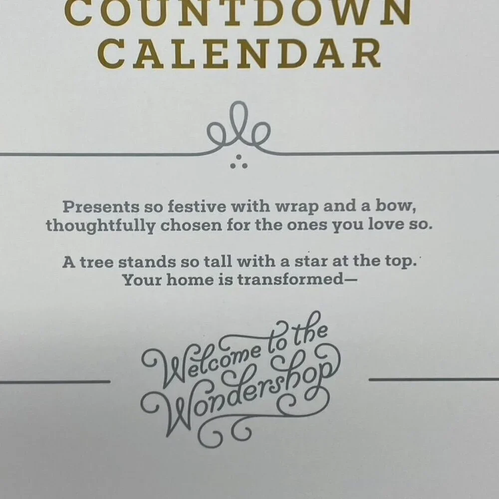 Target Woodland Kid's Activity 12-Day Christmas Countdown Scene Wondershop™